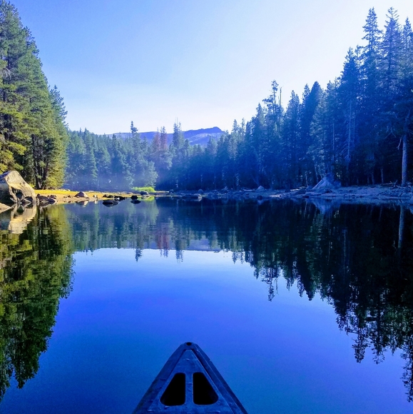 Meet your Posher Arielle! - Picture 7 of 8